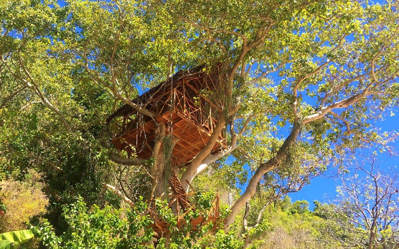 Ankazoberavina-bungalows-arbre