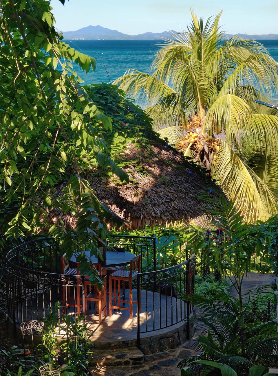 jardin